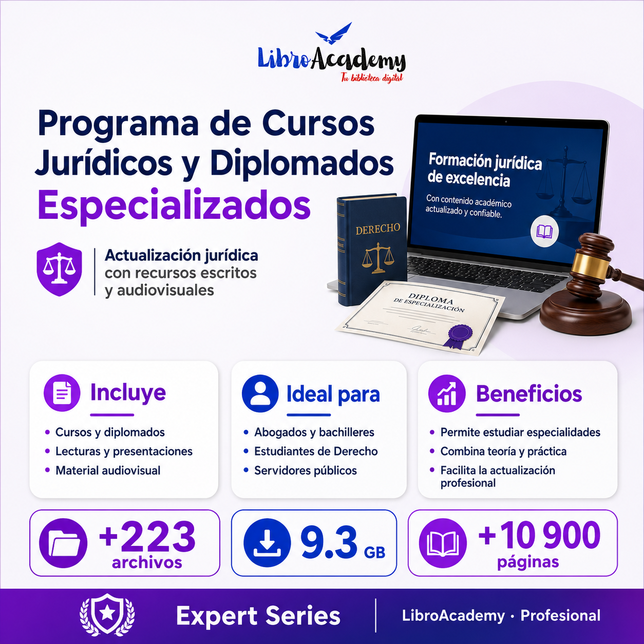 Programa de Cursos Jurídicos y Diplomados Especializados